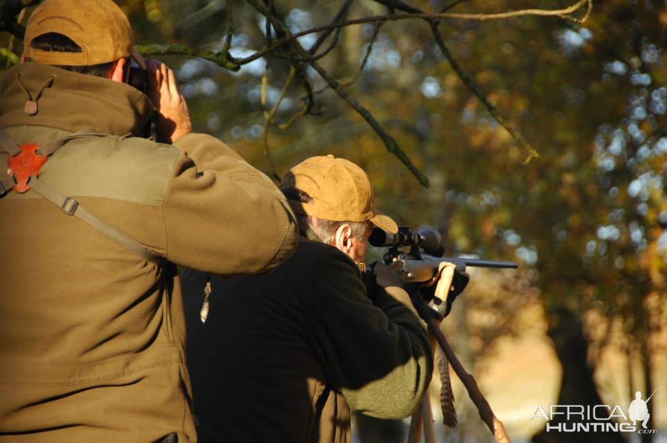 Glassing Game & Hunting with Shooting Stick