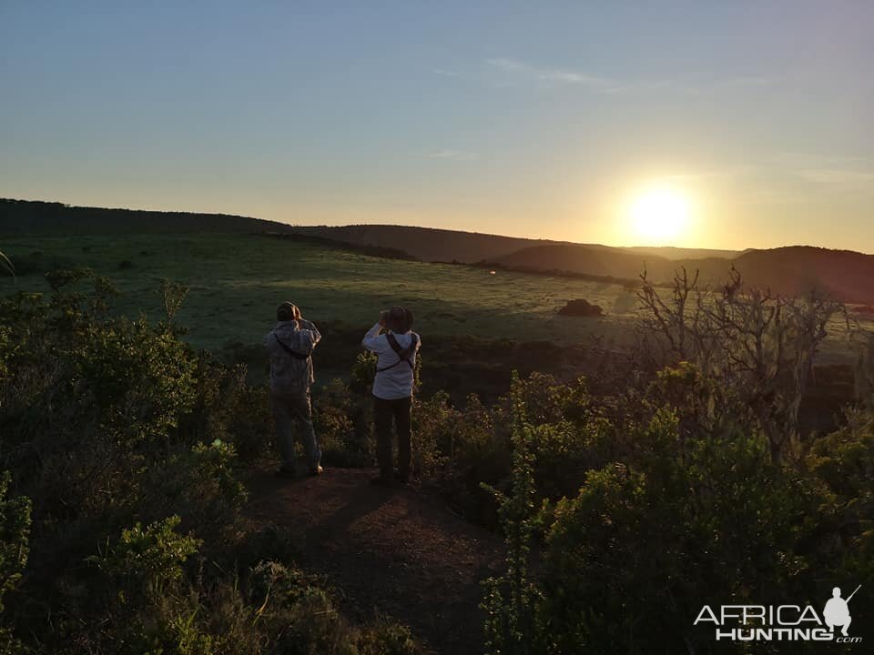 Glassing Game South Africa