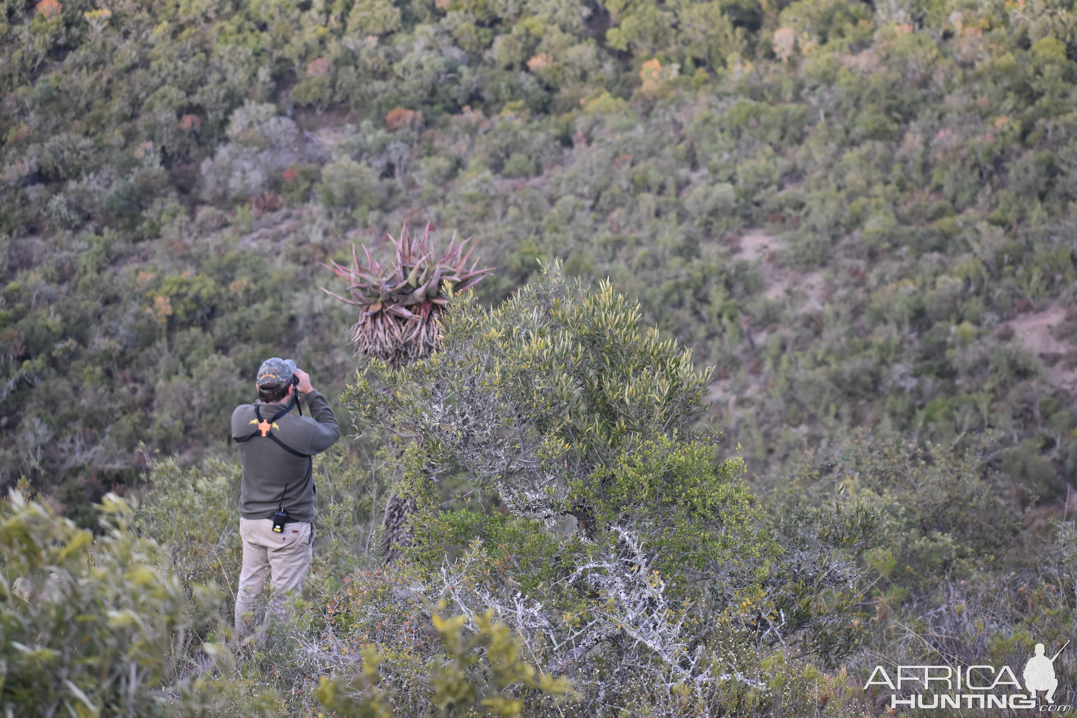 Glassing Game