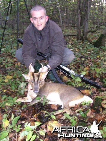 Gold Medal Muntjac hunted in Cambridgeshire