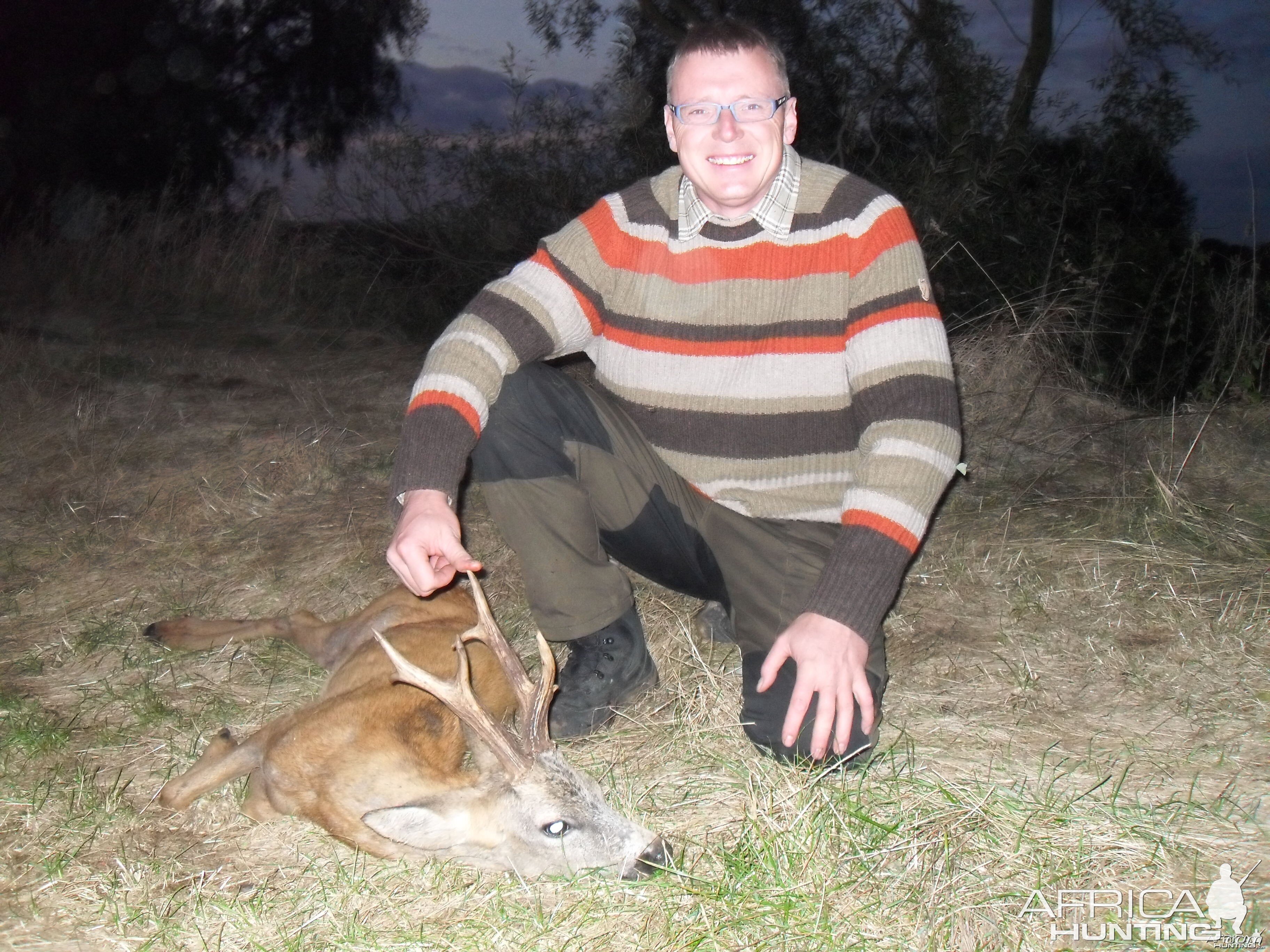 Gold medal roe buck