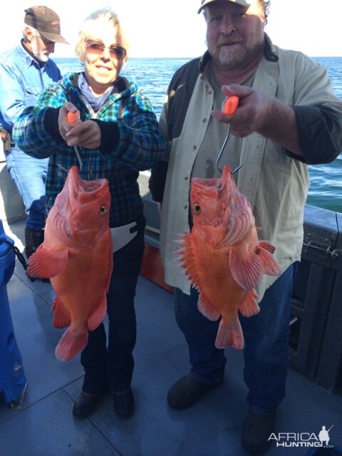 Golden eye caught off Kodiak Island