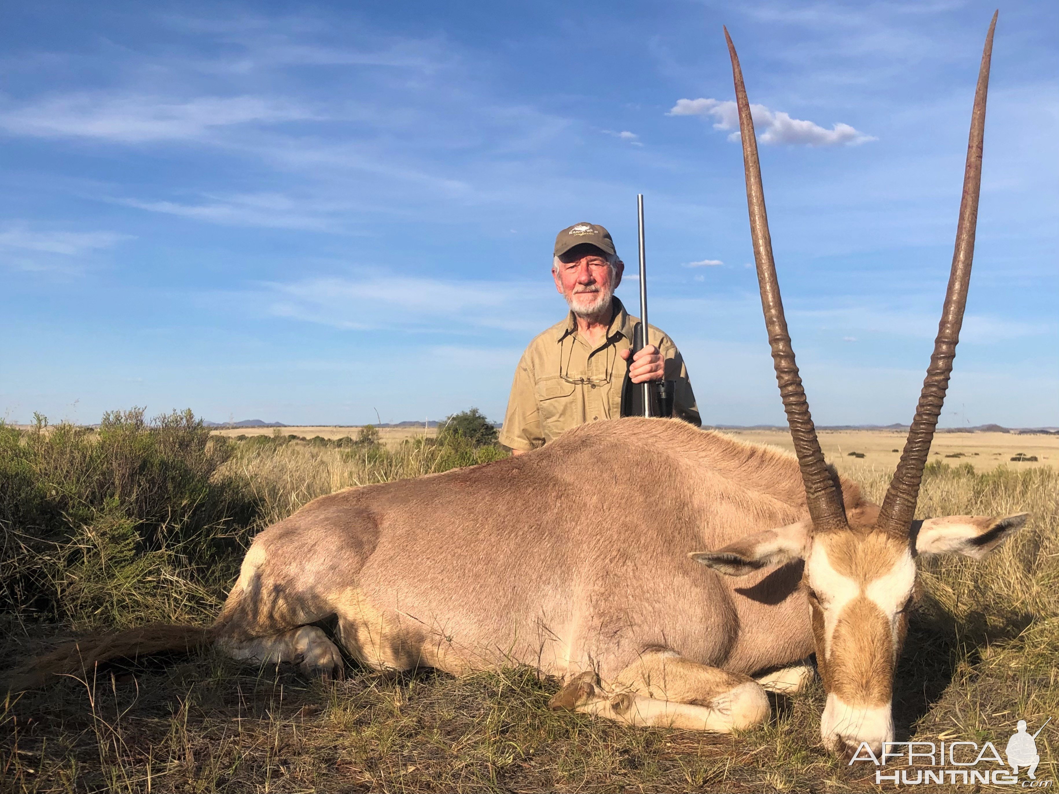 Golden Gemsbok Hunt Karoo South Africa