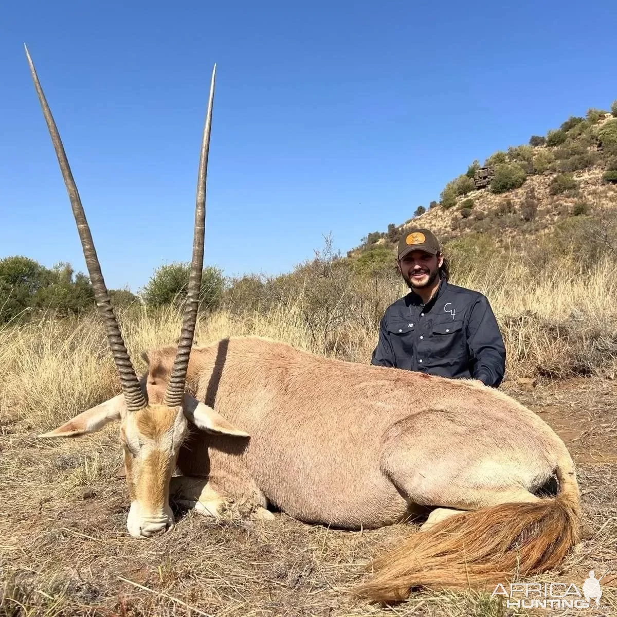 Golden Gemsbok Hunt South Africa