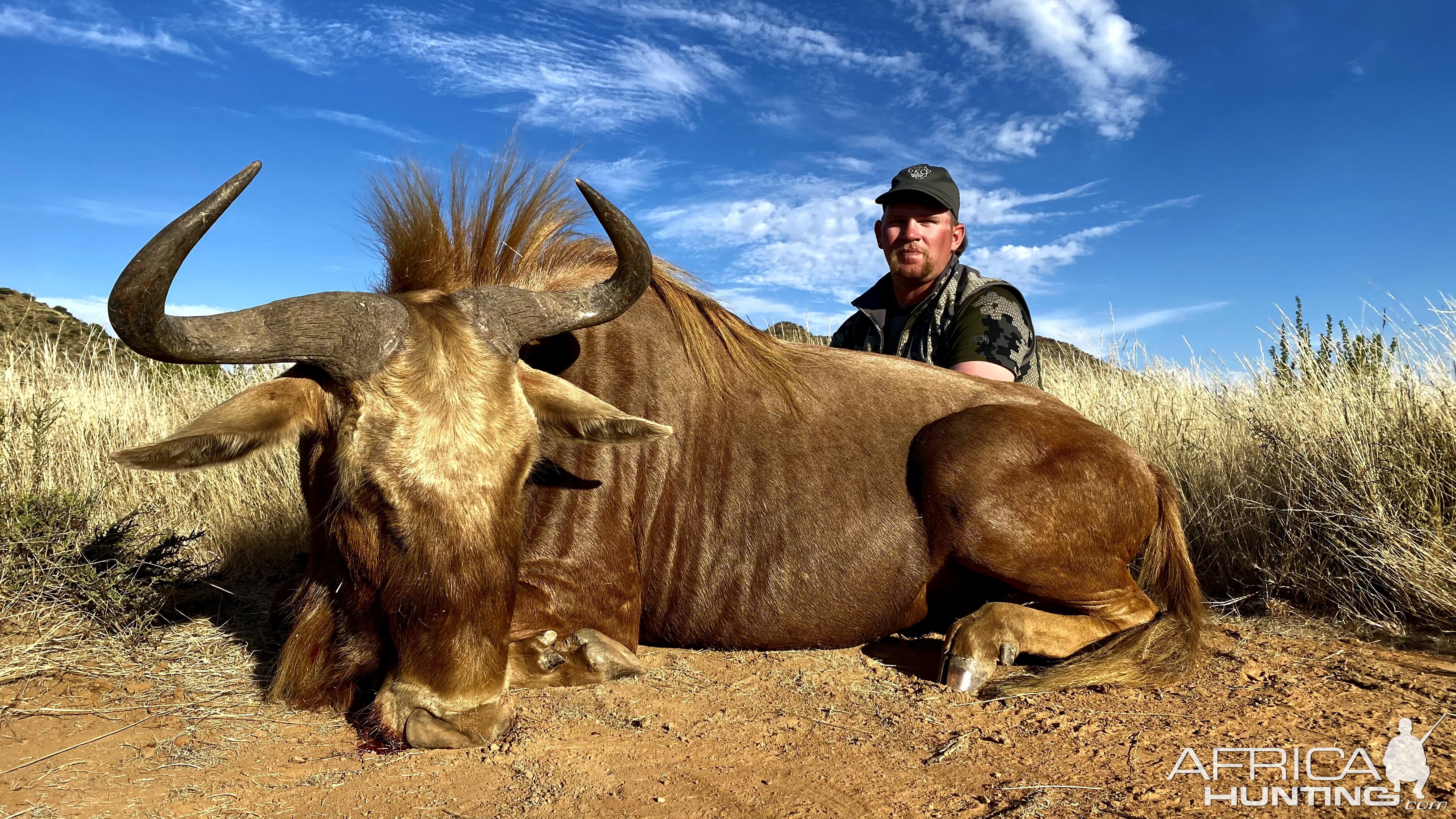 Golden Hartebeest Hunt South Africa