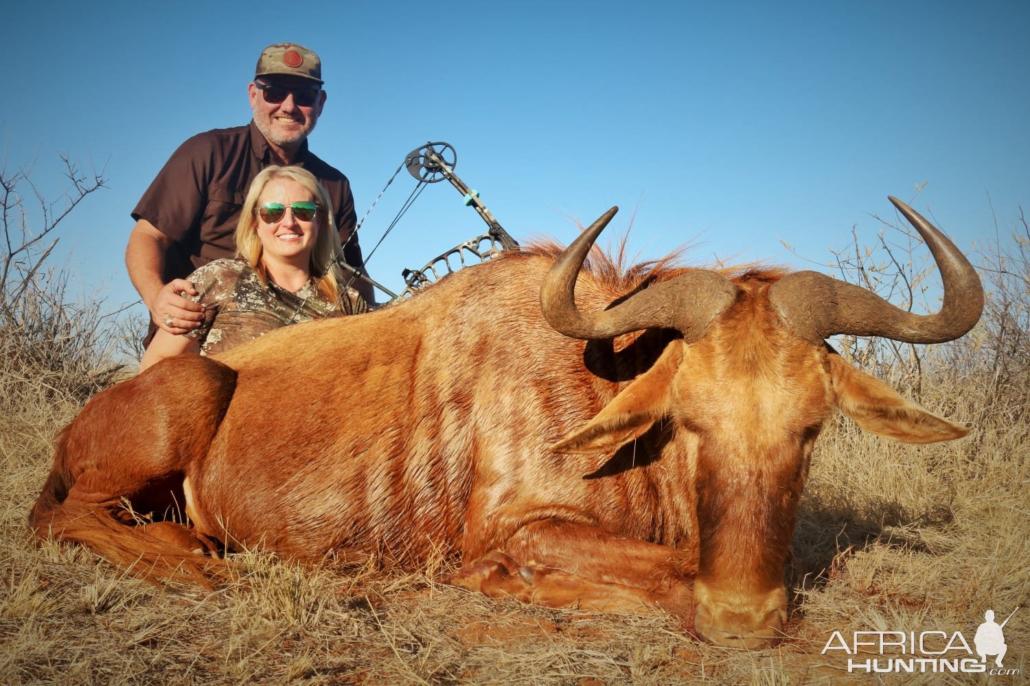 Golden Wildebeest Bow Hunt South Africa