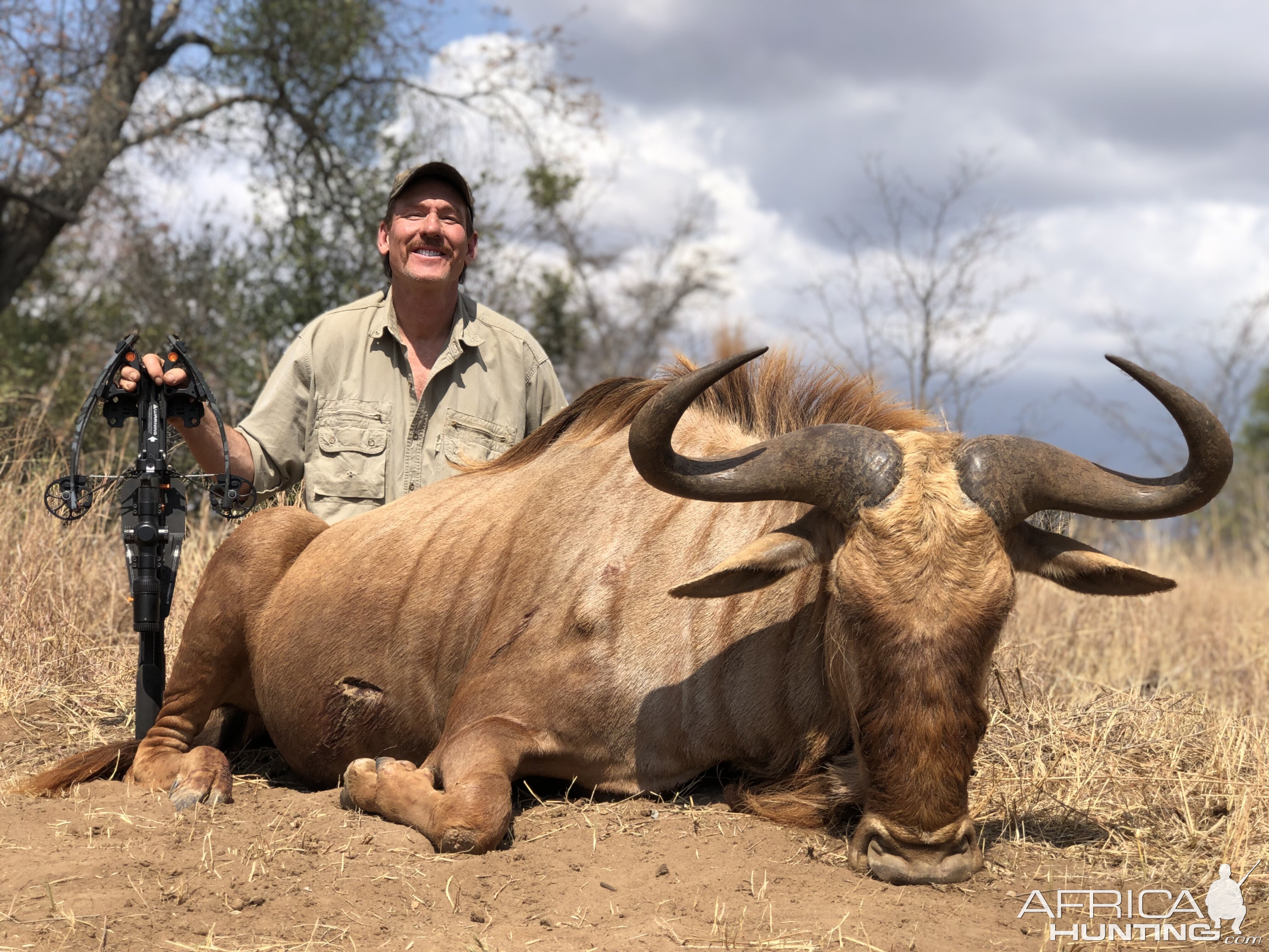 Golden Wildebeest Crossbow