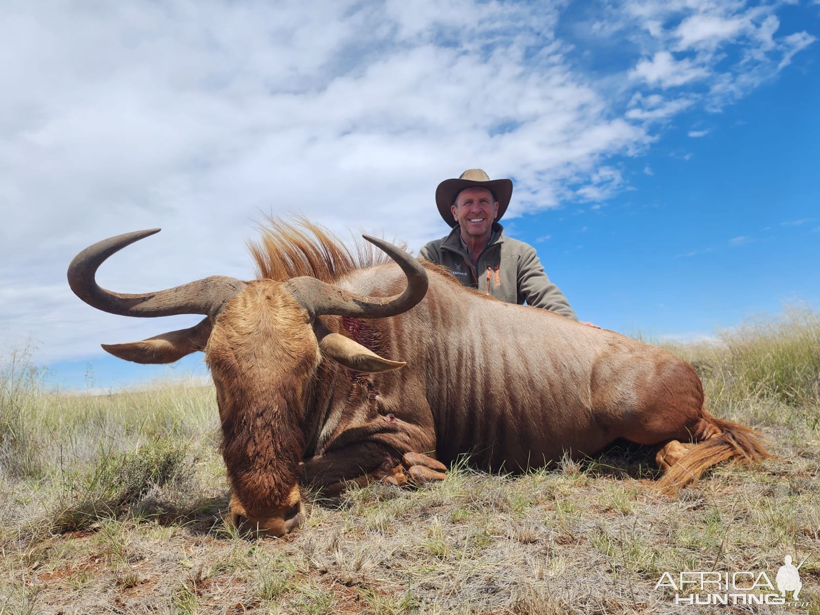 Golden Wildebeest Hunt Eastern Cape South Africa