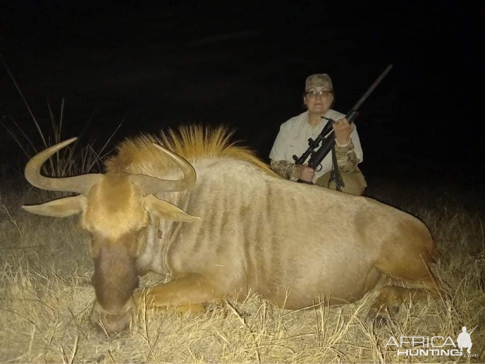 Golden WIldebeest Hunt Limpopo South Africa