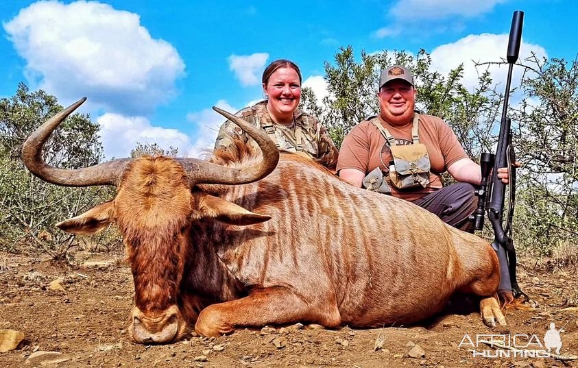 Golden Wildebeest Hunt North West Province South Africa