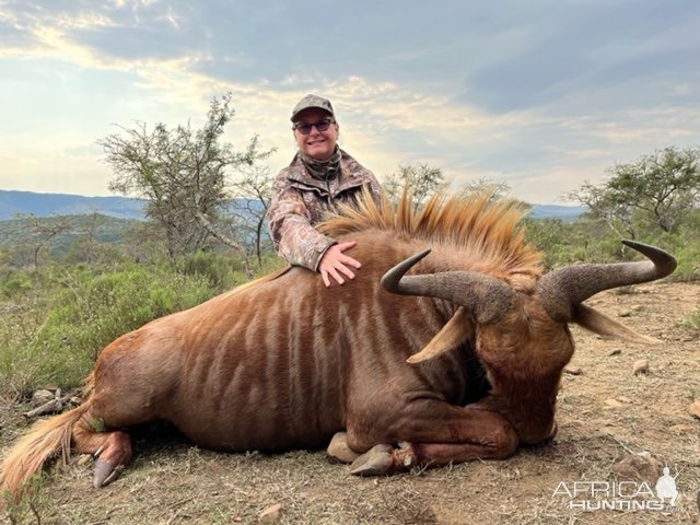 Golden WIldebeest Hunt South Africa