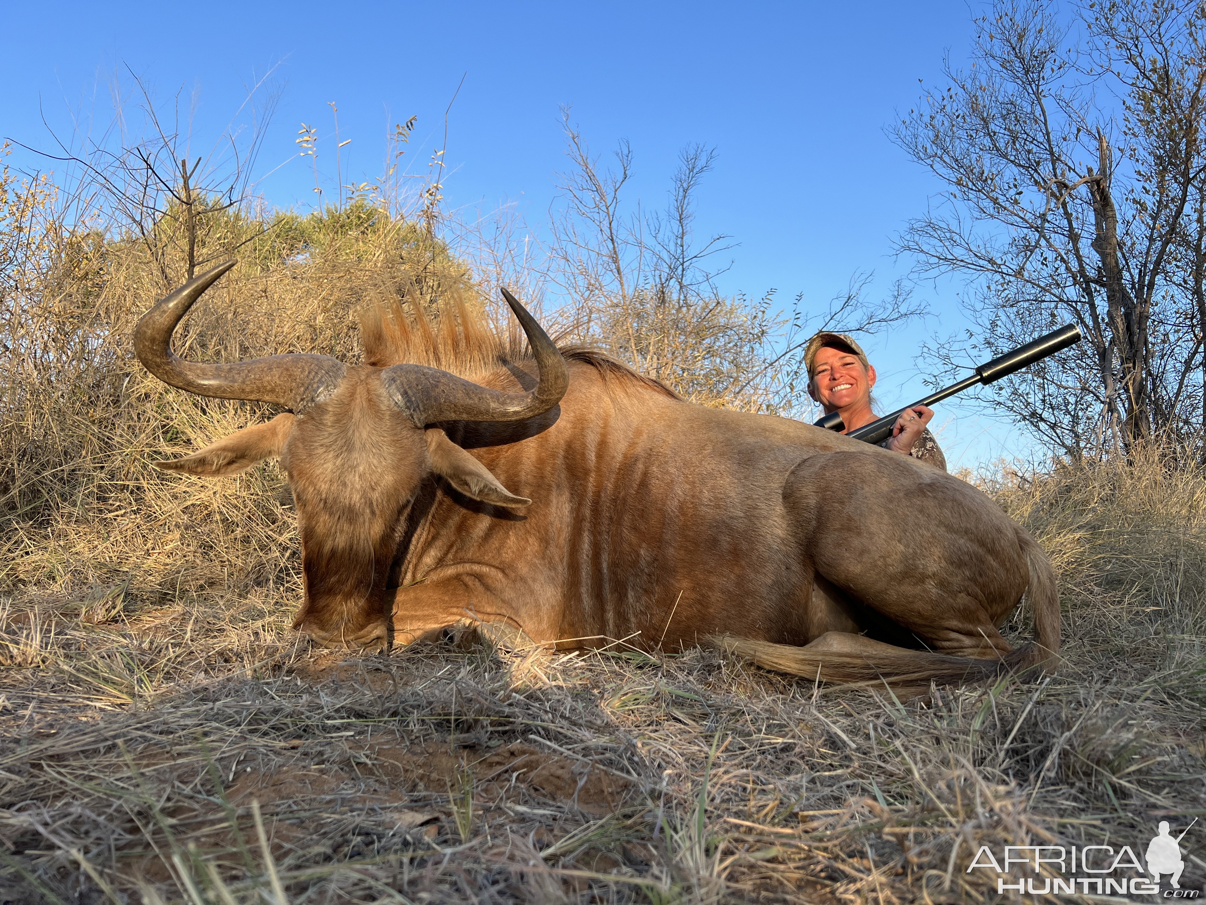 Golden Wildebeest Hunt South Africa