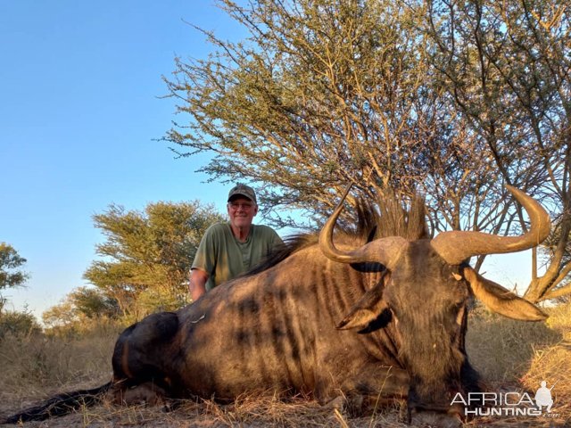 Golden Wildebeest Hunting Botswana