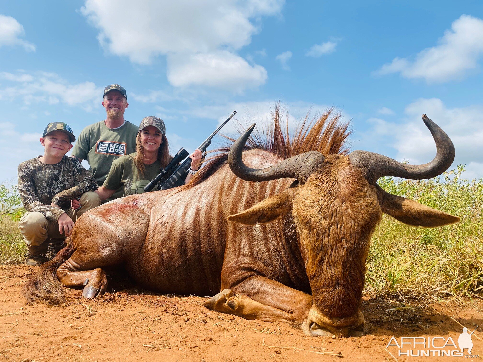 Golden Wildebeest Hunting South Africa | AfricaHunting.com