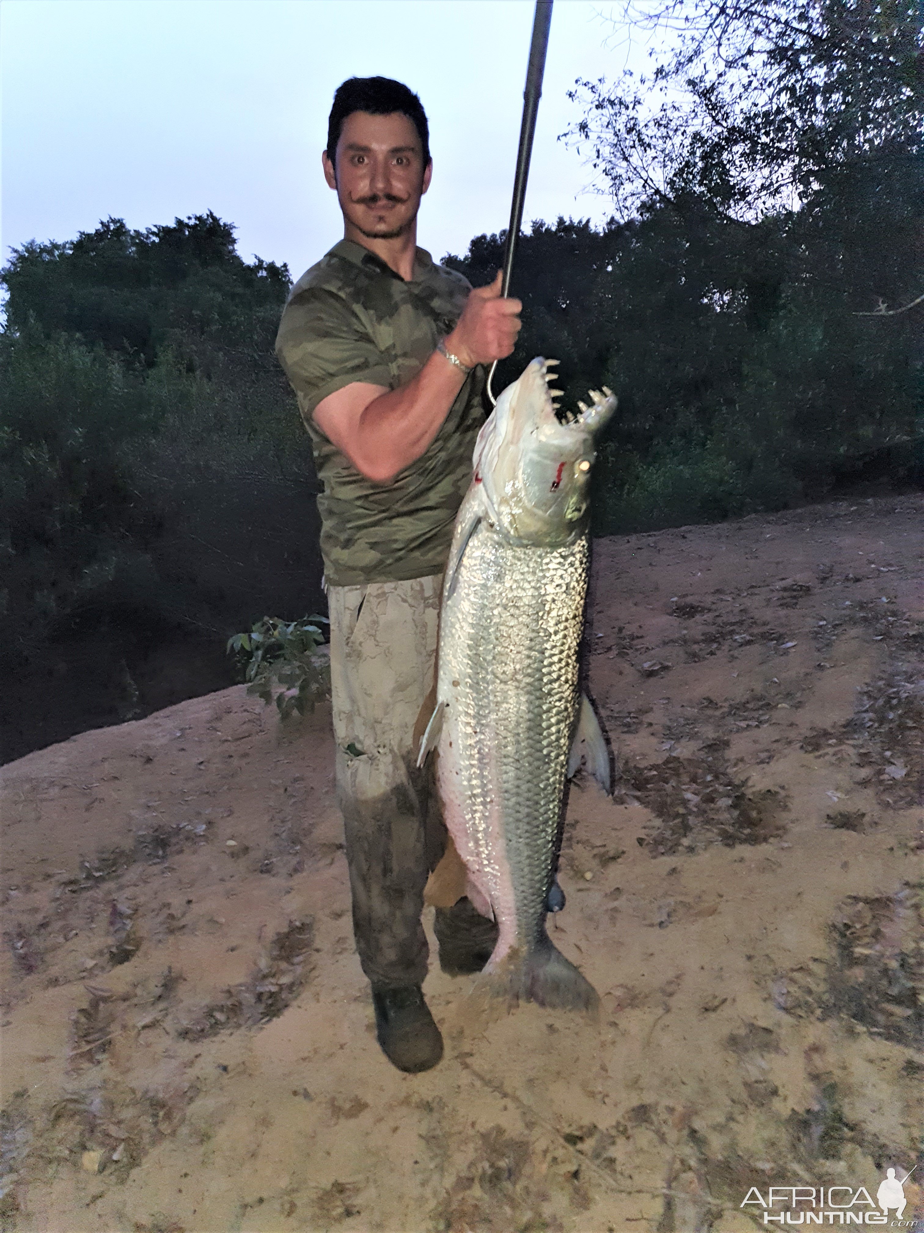 Goliath Tigerfish Fishing Central African Republic C.A.R