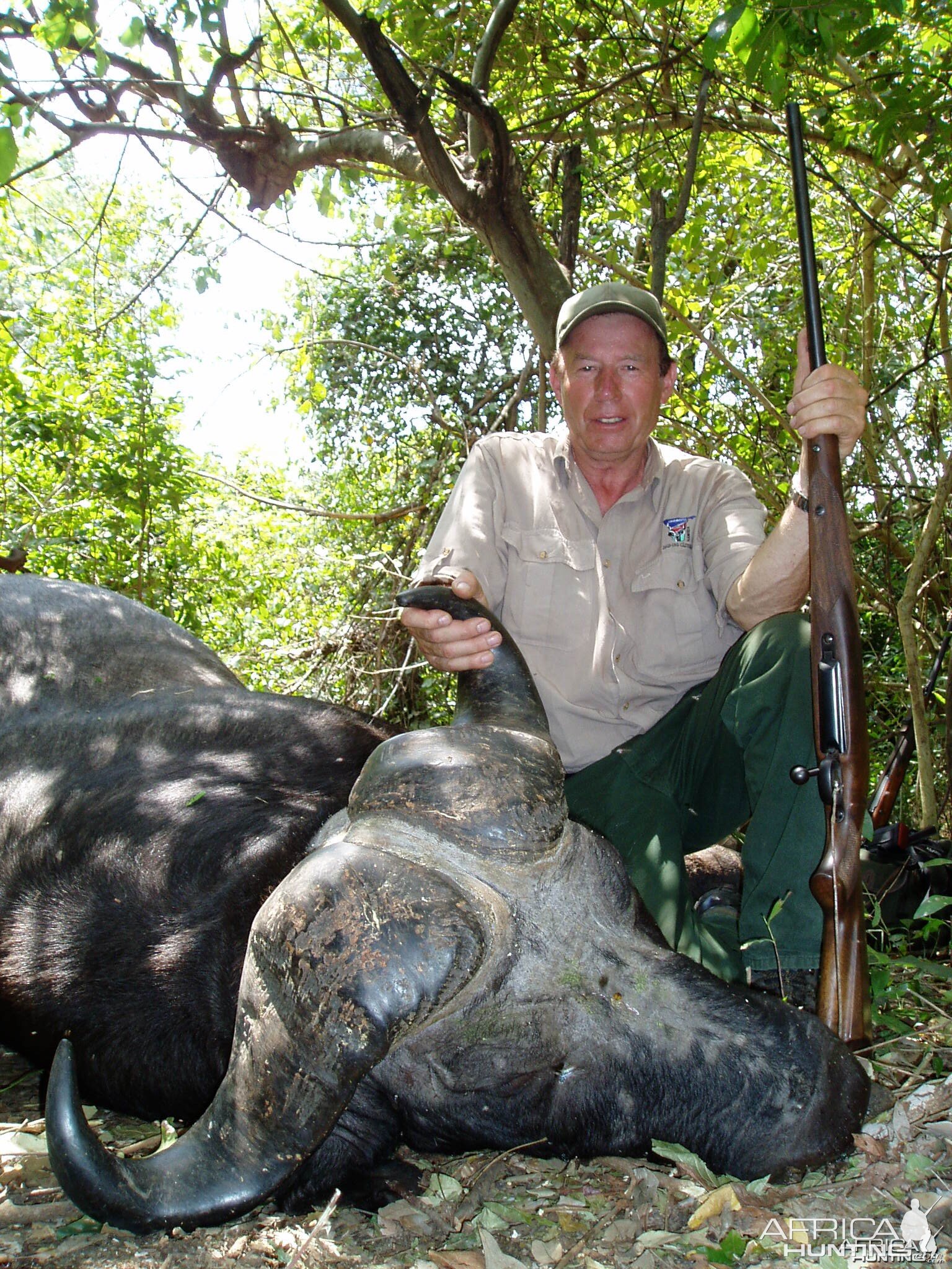 Gonabisi Tanzania Cape Buffalo