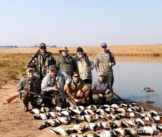 Good friends shooting wild waterfowl in South Africa