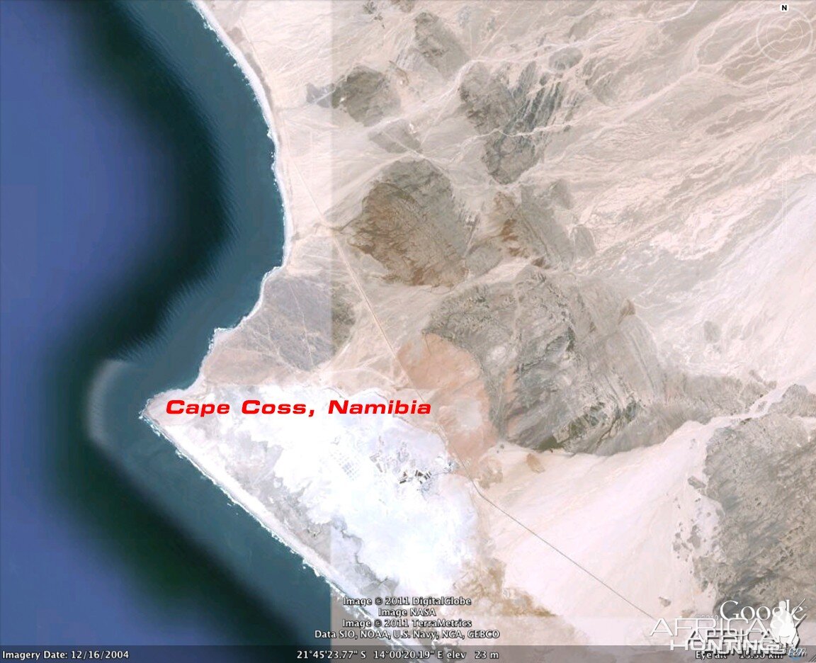 Google Earth Satellite Imagery of Cape Cross in Namibia