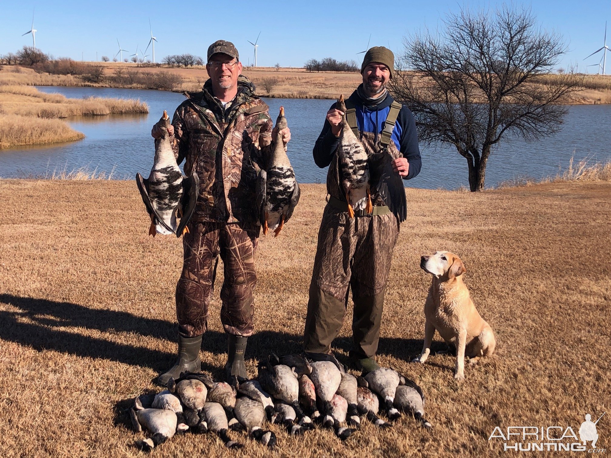 Goose Hunting