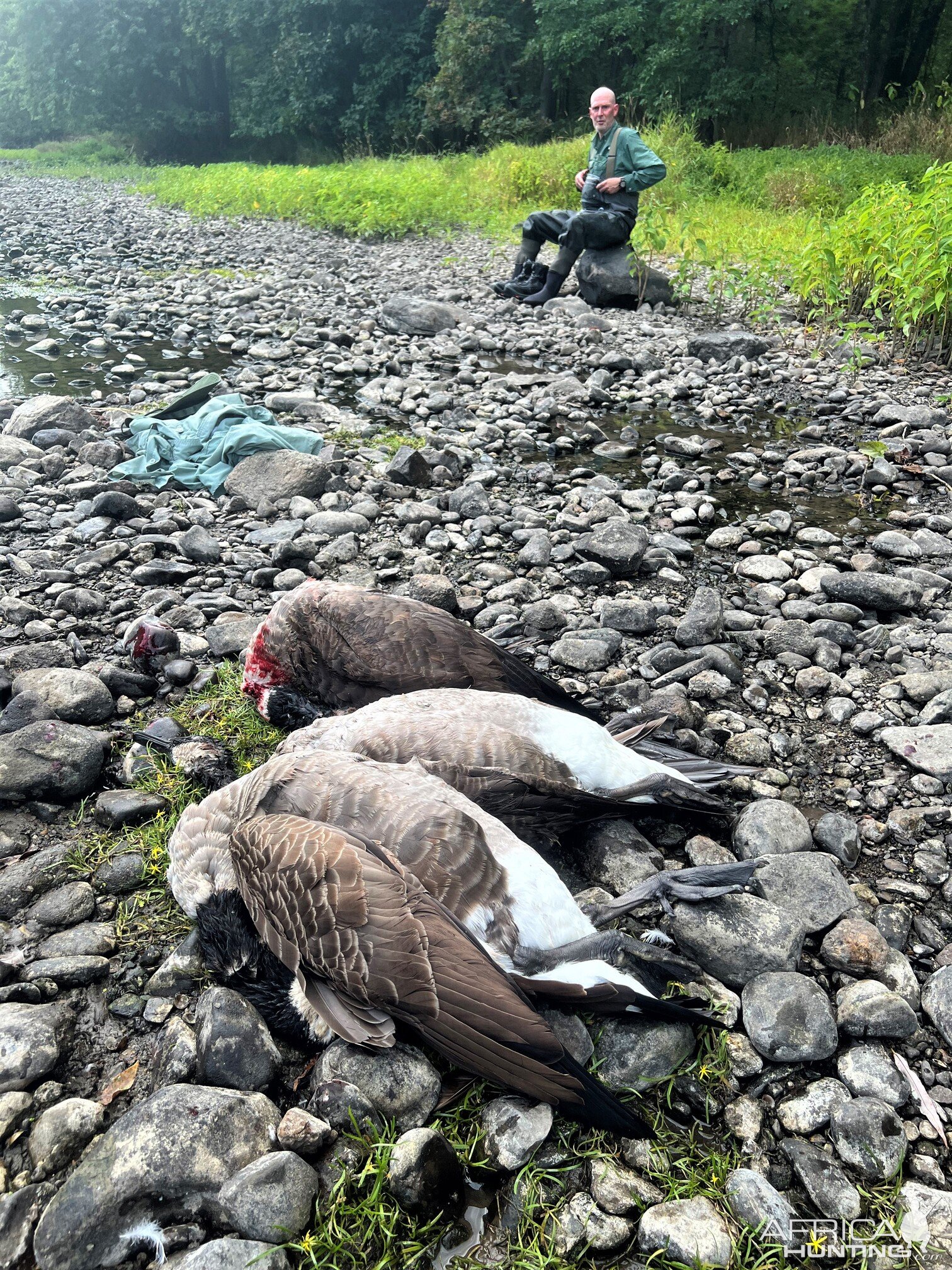 Goose Hunting