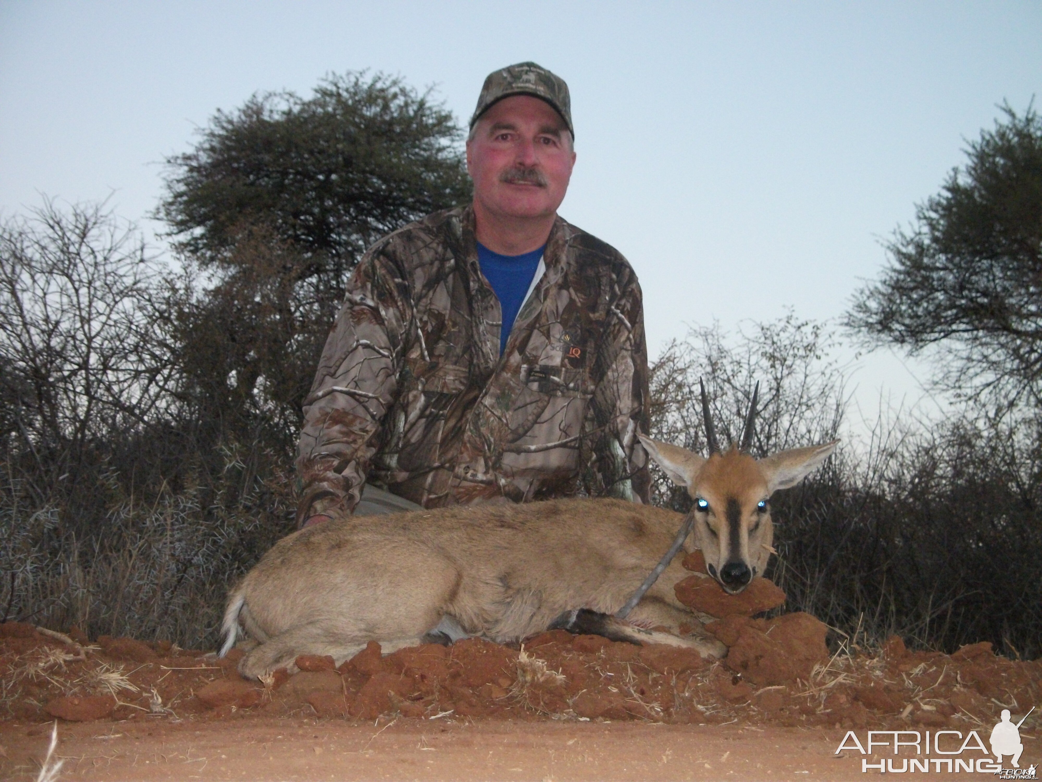 Gray Duiker hunted with Ozondjahe Hunting Safaris in Namibia