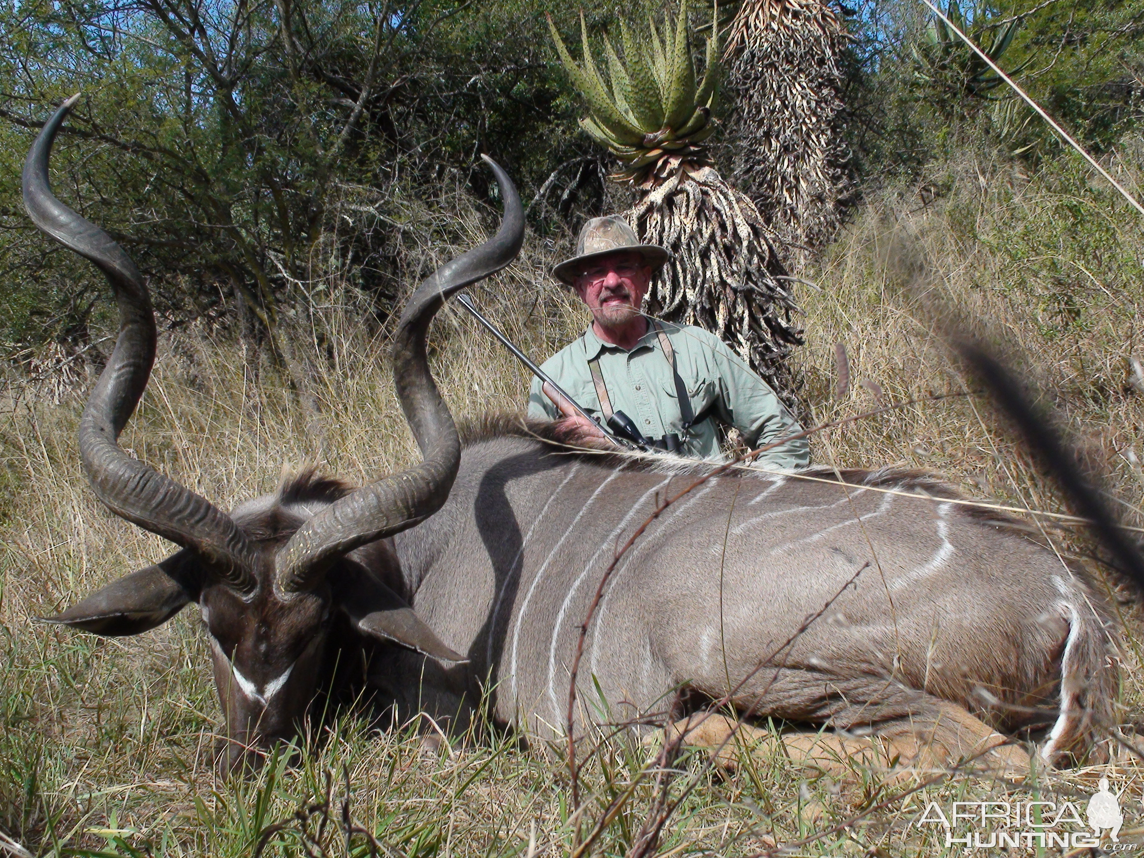 Greater Kudu Bull Kawazulu Natal 2011