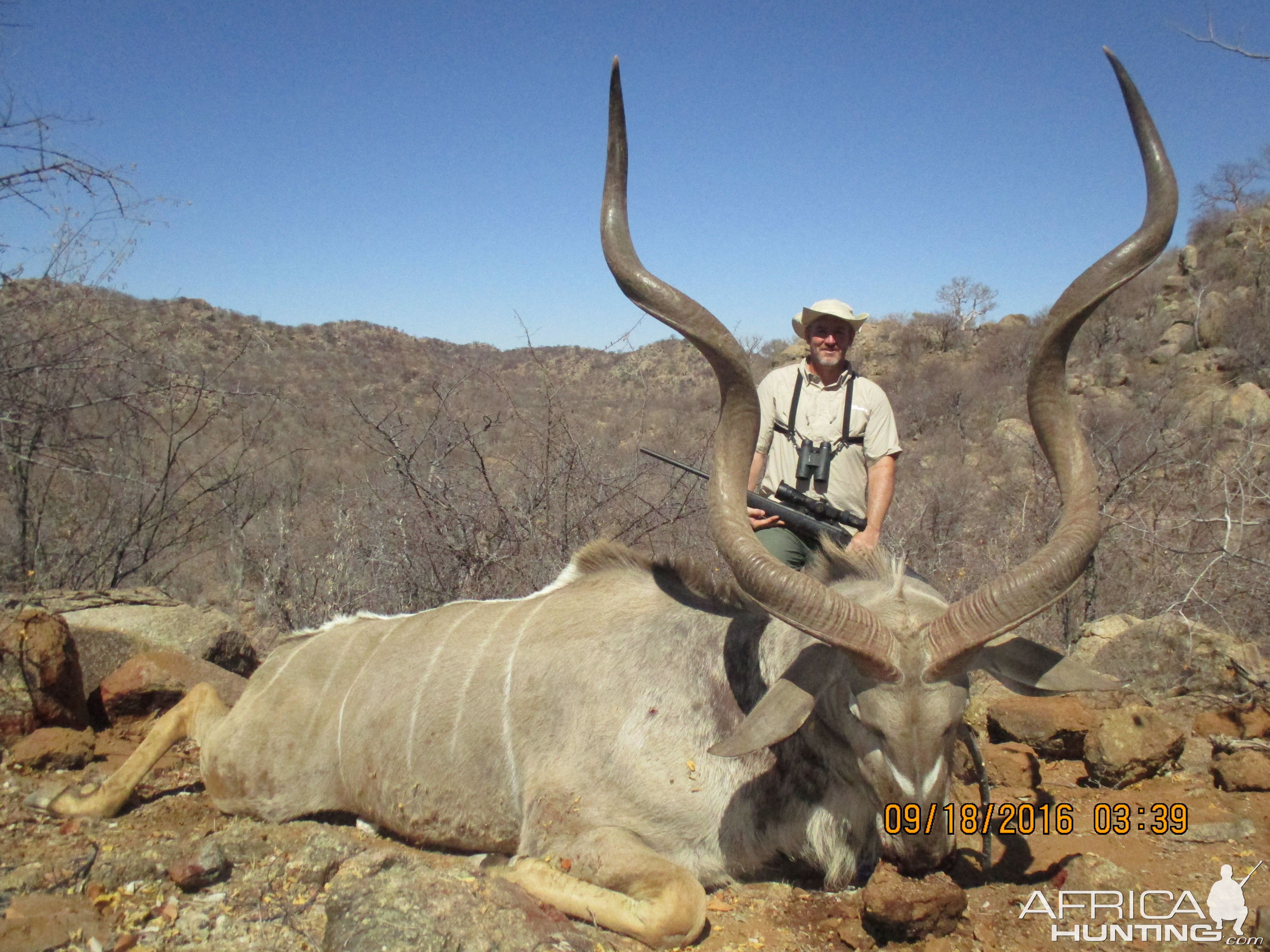 Greater Kudu Hunt Namibia