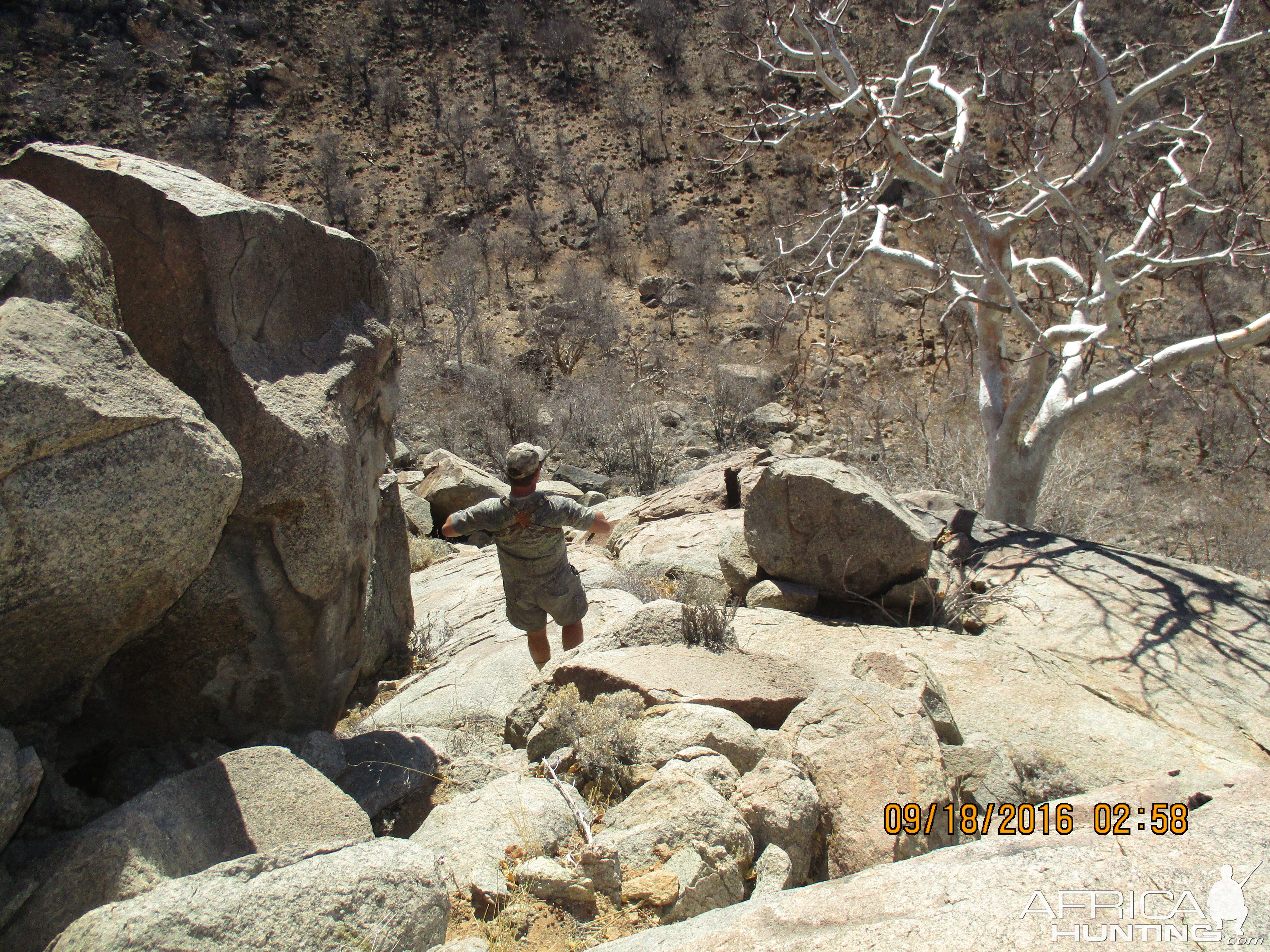 Greater Kudu Hunt Namibia