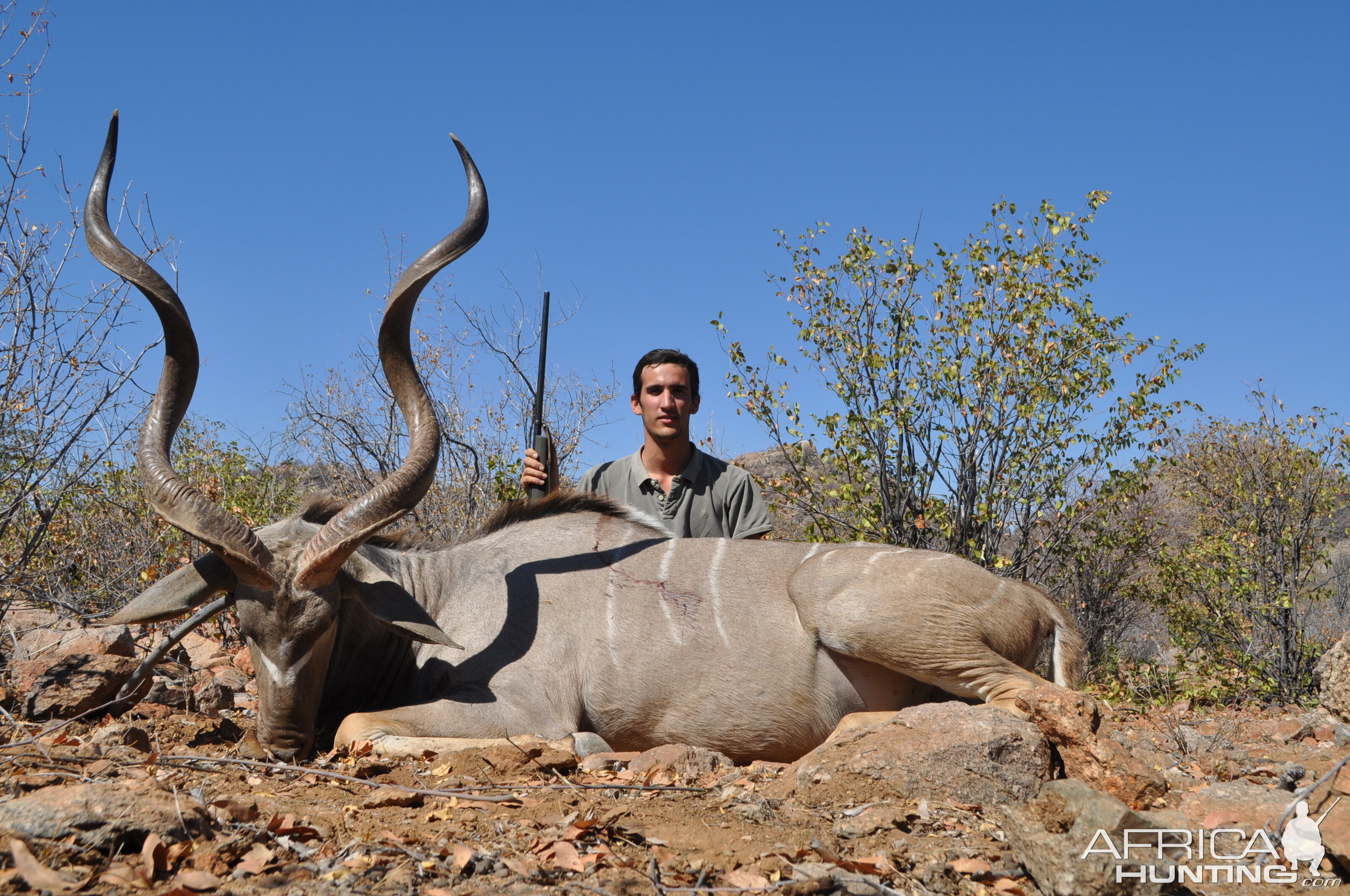 Greater Kudu Namibia