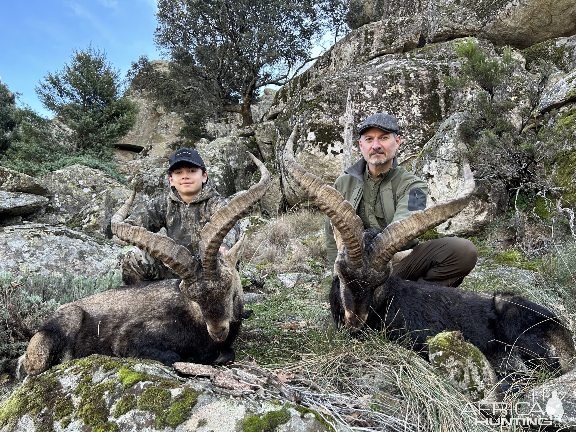 Gredos Ibex Hunt Spain