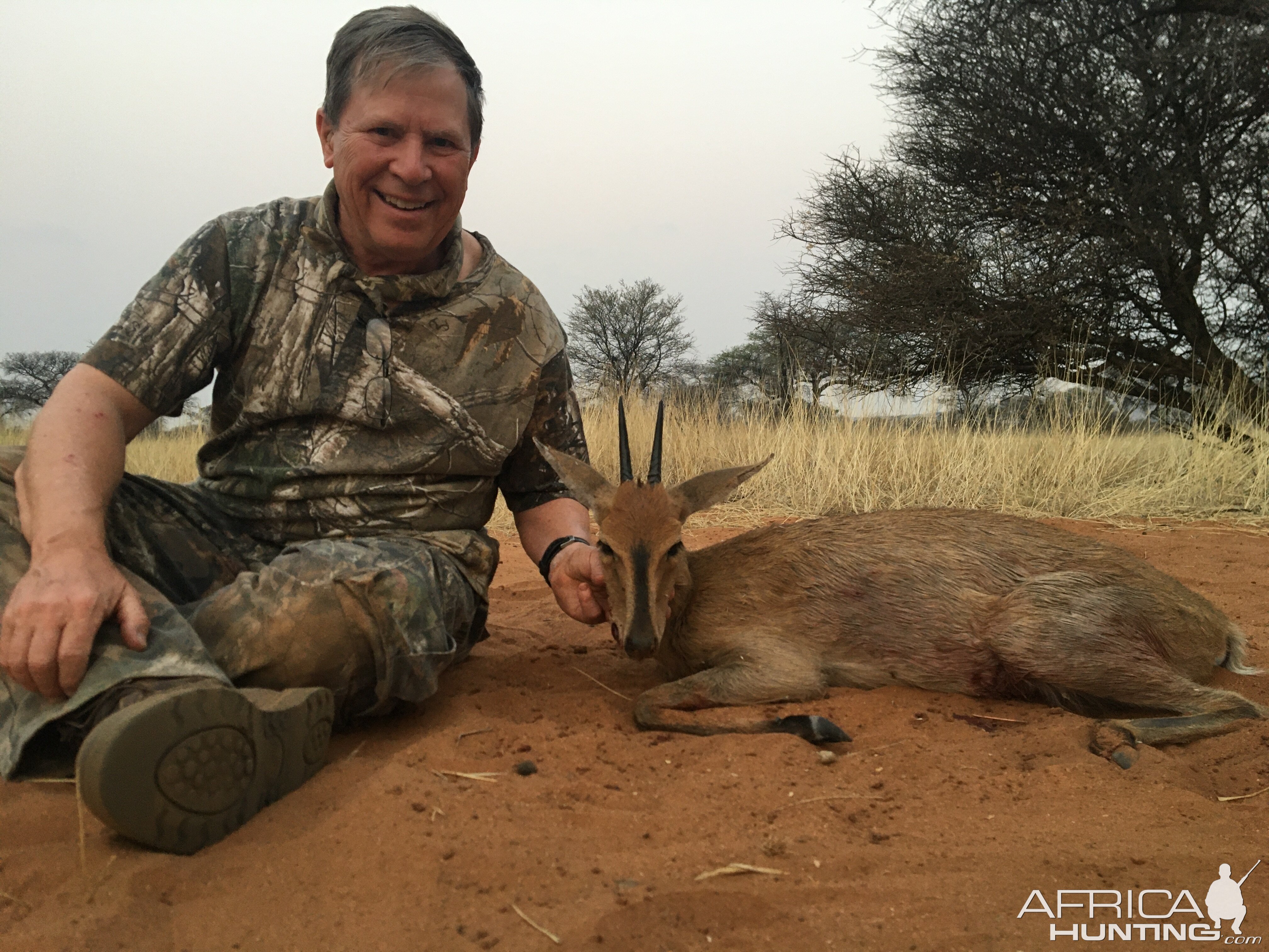 Grey Duiker Hunt Namibia
