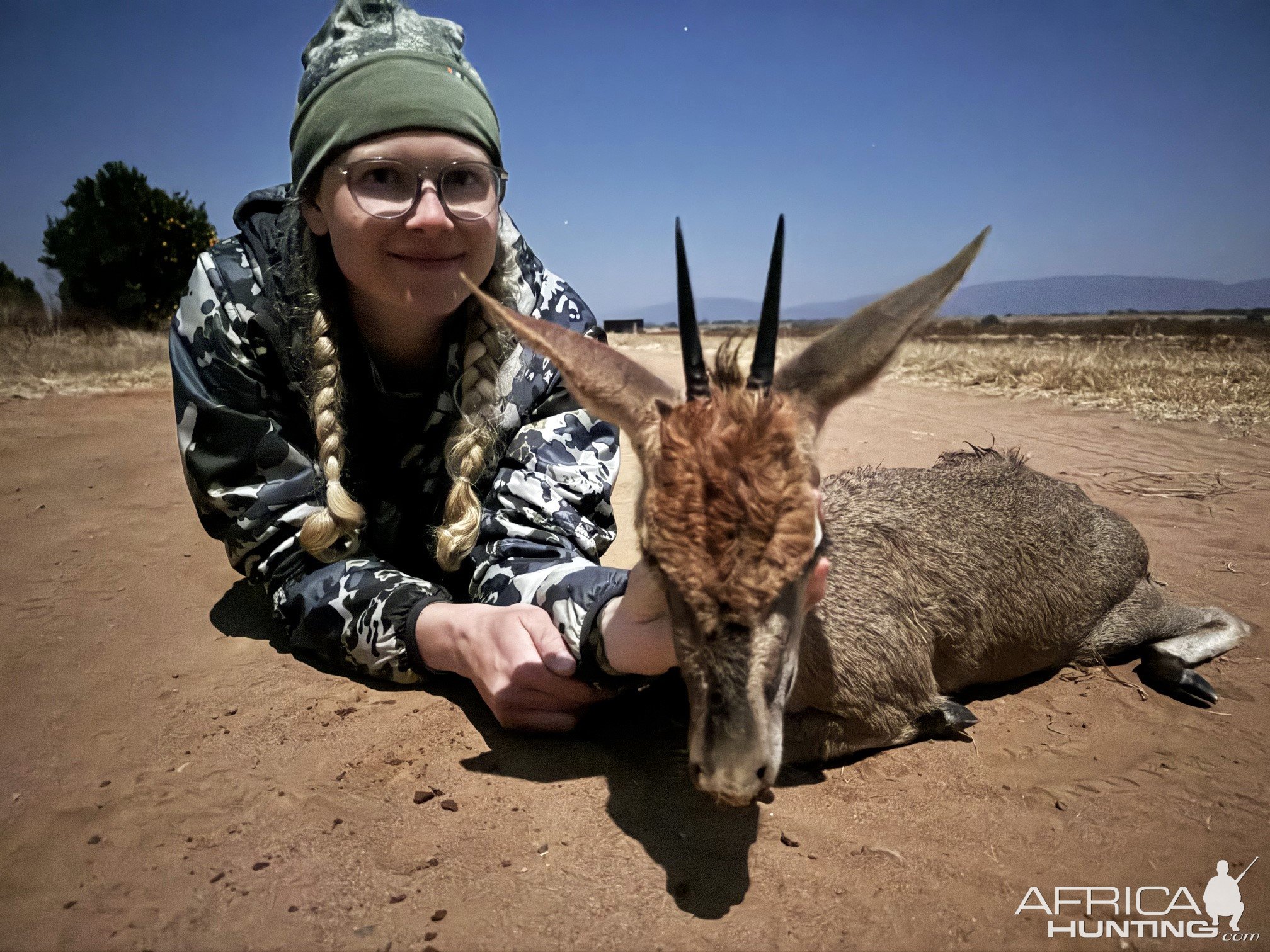 Grey Duiker Hunting South Africa