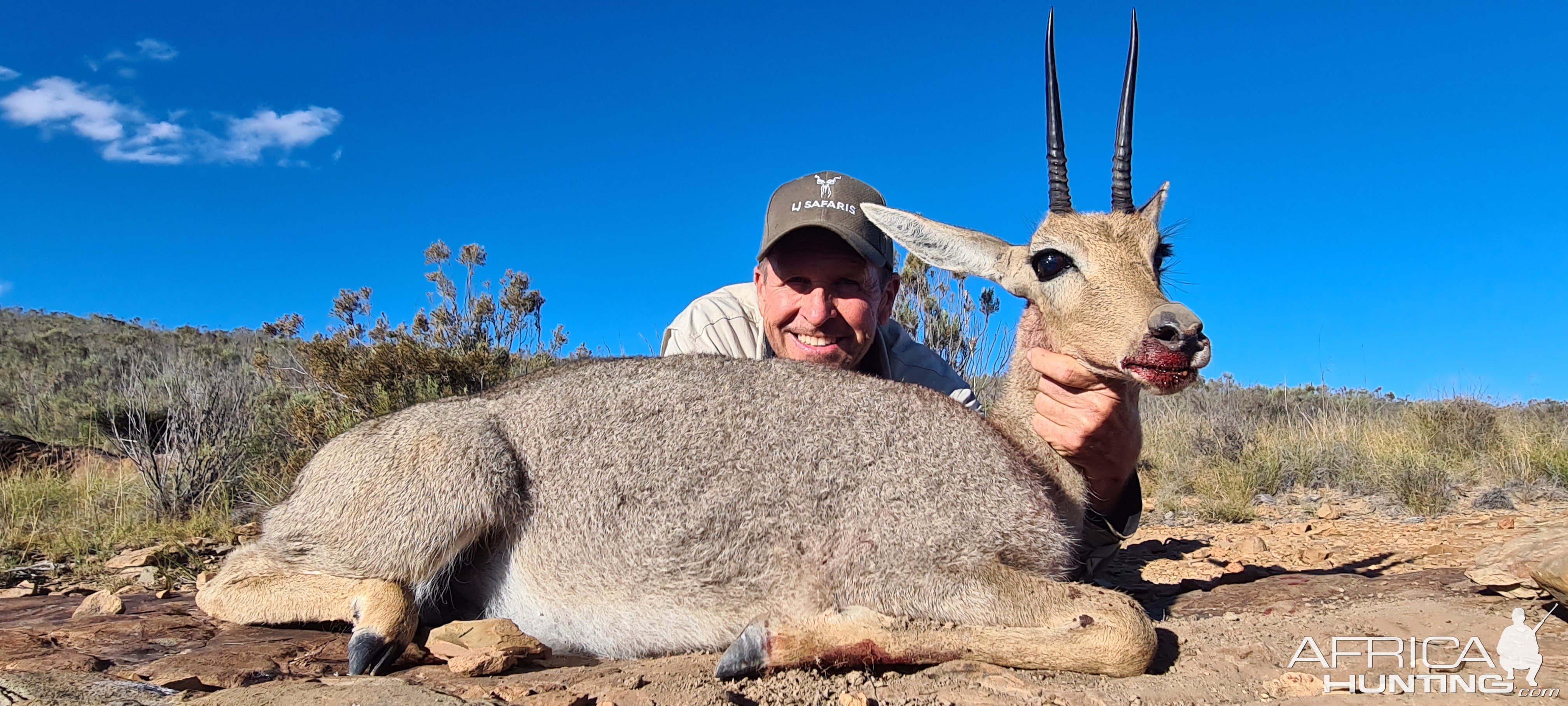 Grey Rhebok Hunt South Africa