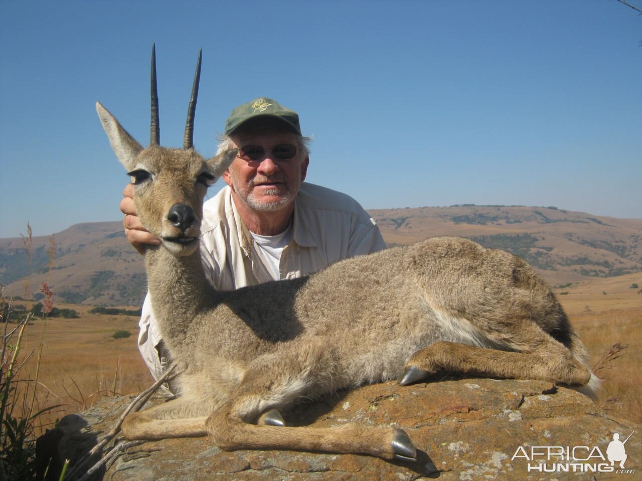 Grey Rhebok Hunt