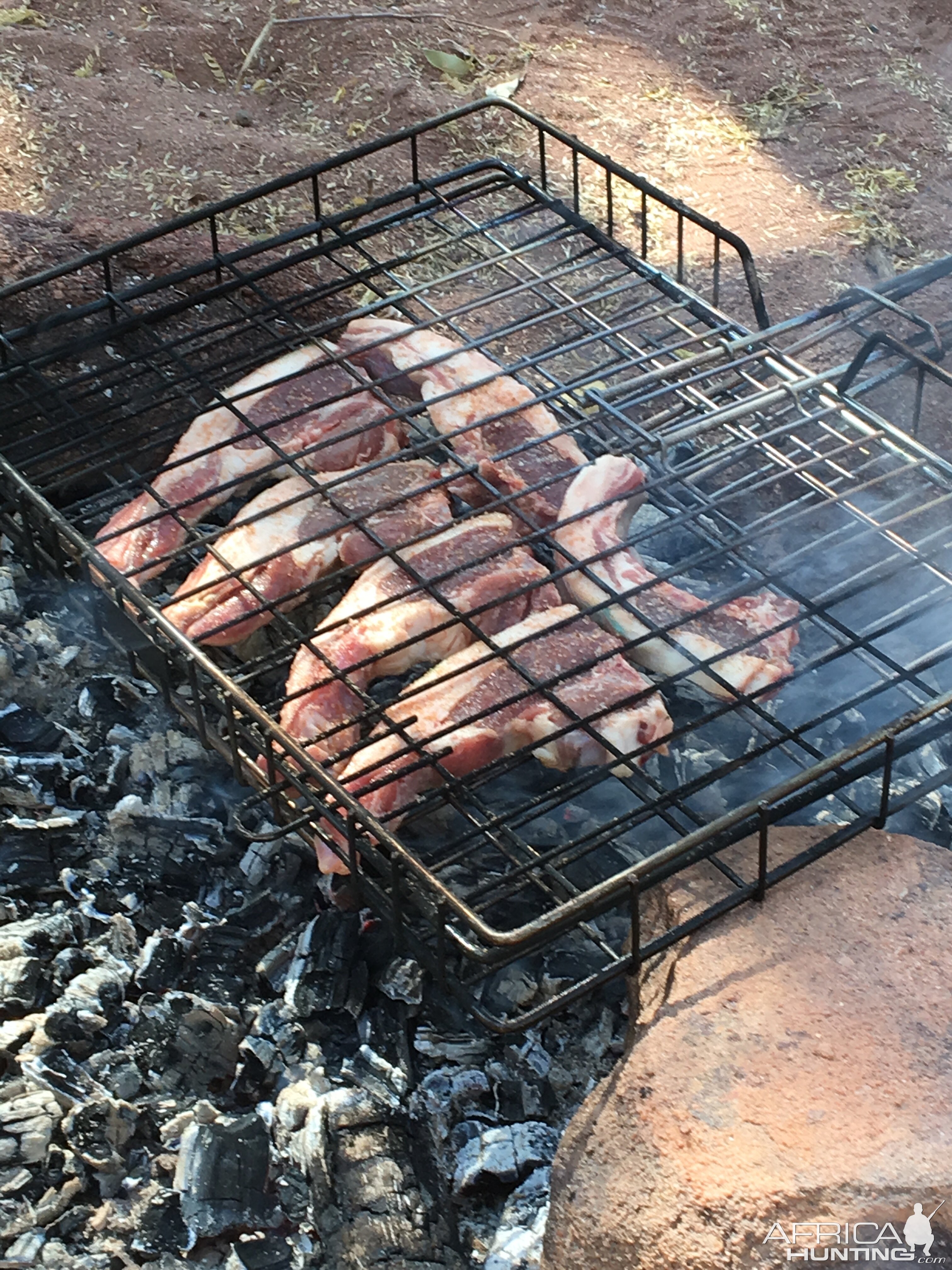 Grilled Lambchops