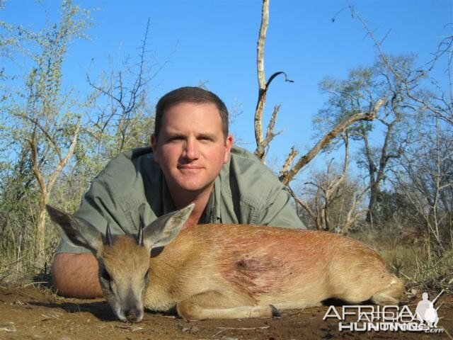 Grysbok Hunt in Save Valley Conservancy Zimbabwe