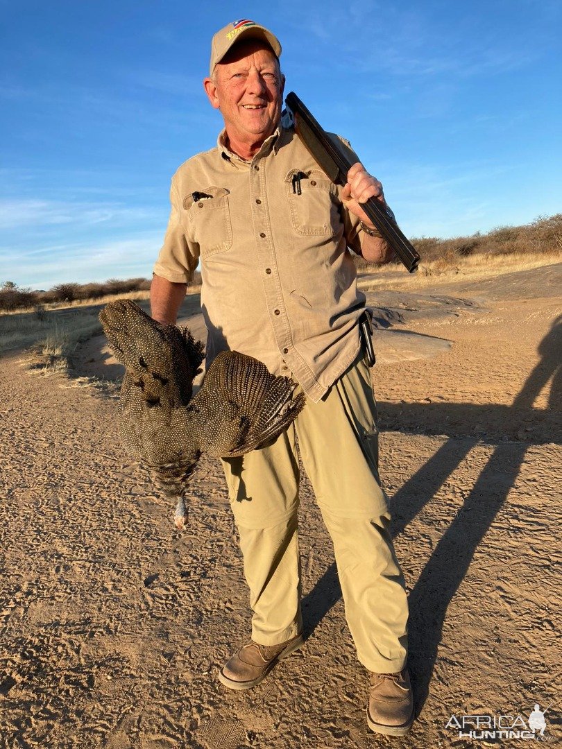 Guinea Fowl Hunt Namibia