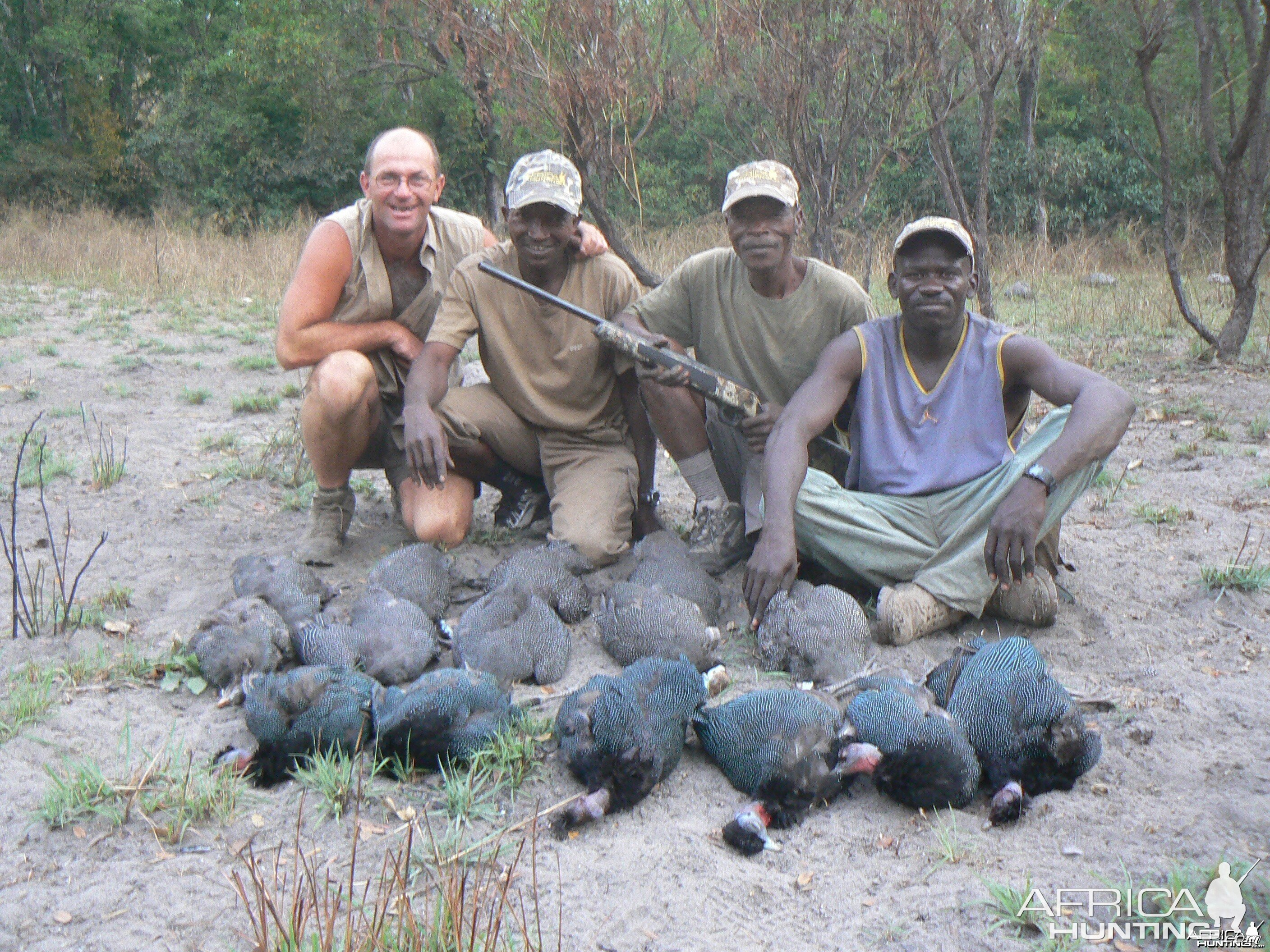 Guineafowl and Helmeted Guineafowl in CAR