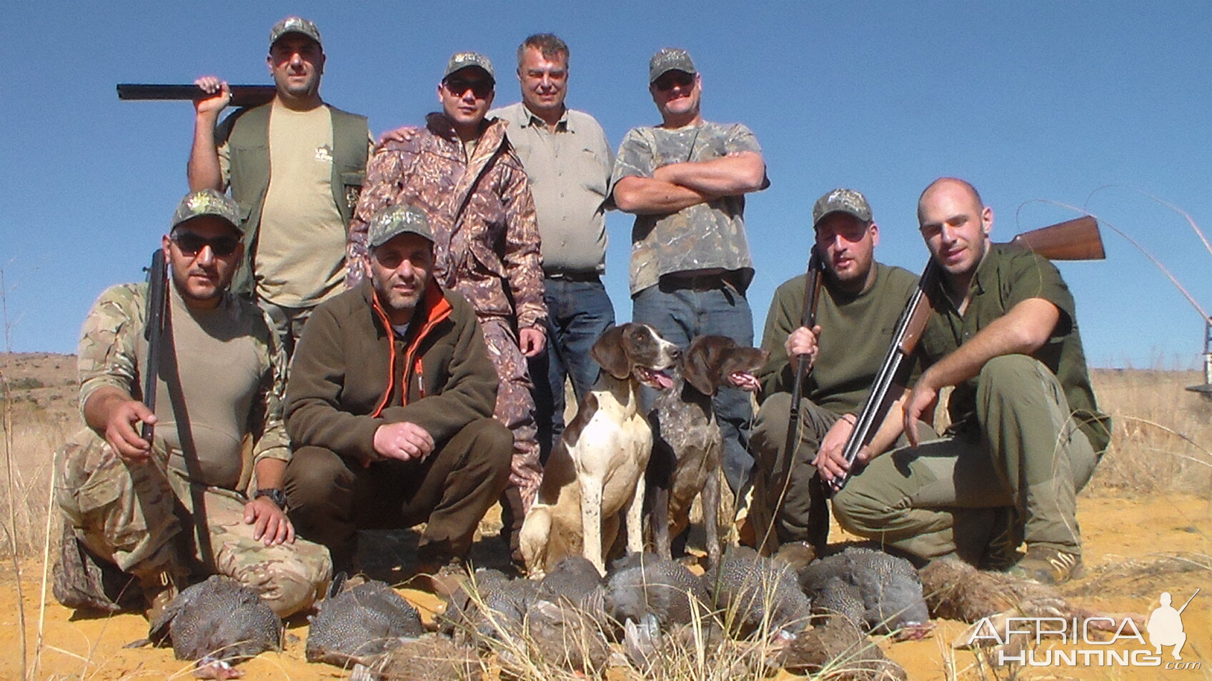 Guineafowl & Hare Hunting South Africa