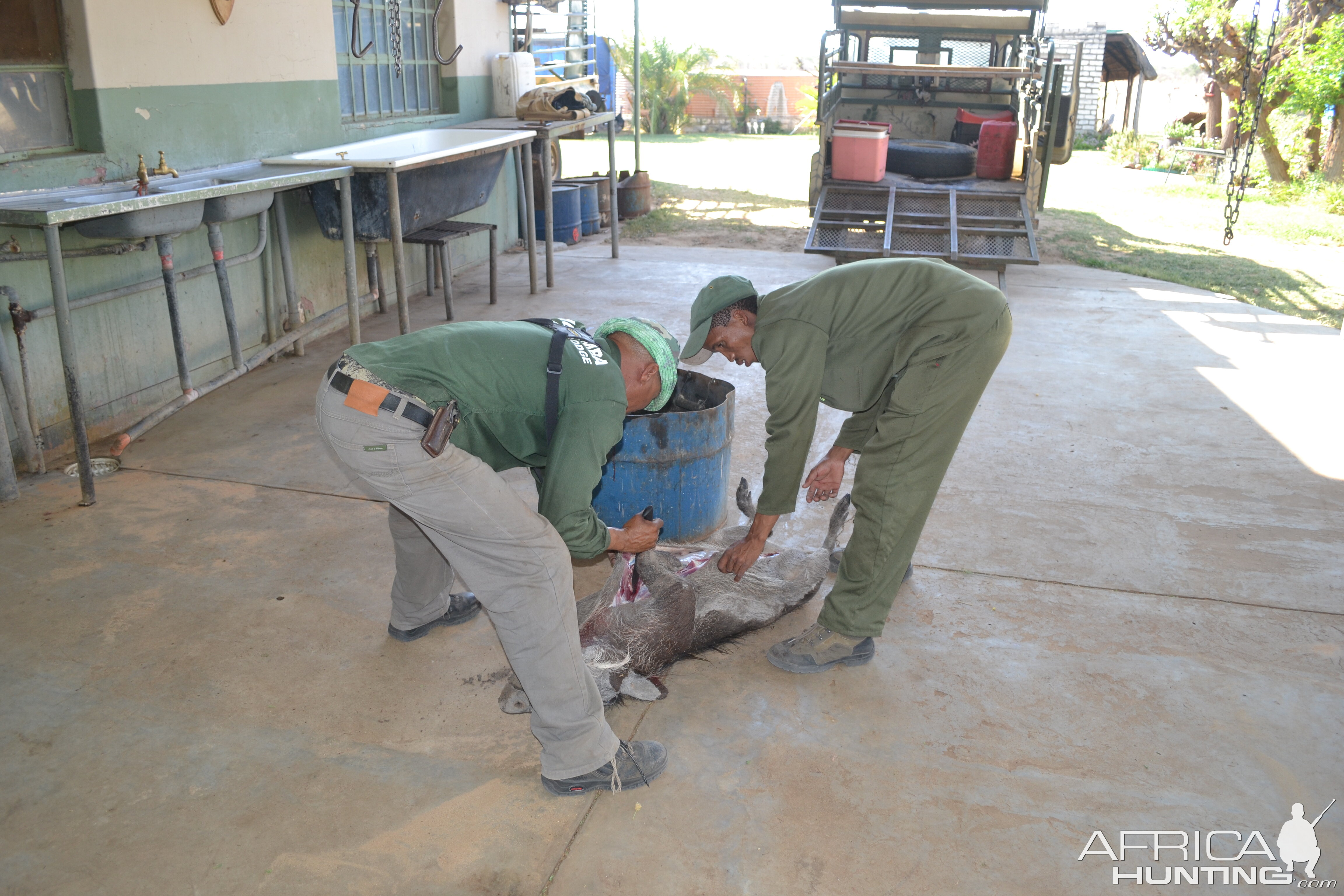 Gutting the Warthog