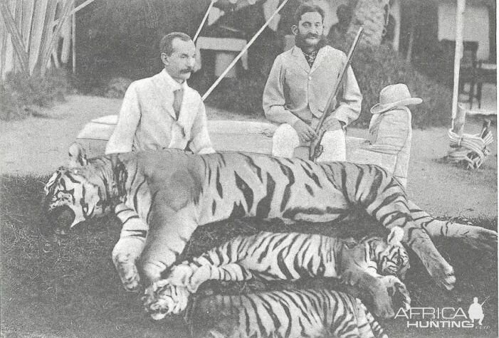 H.H. Nizam Asaf Jah VI Tiger Hunt Hyderabad India 1906