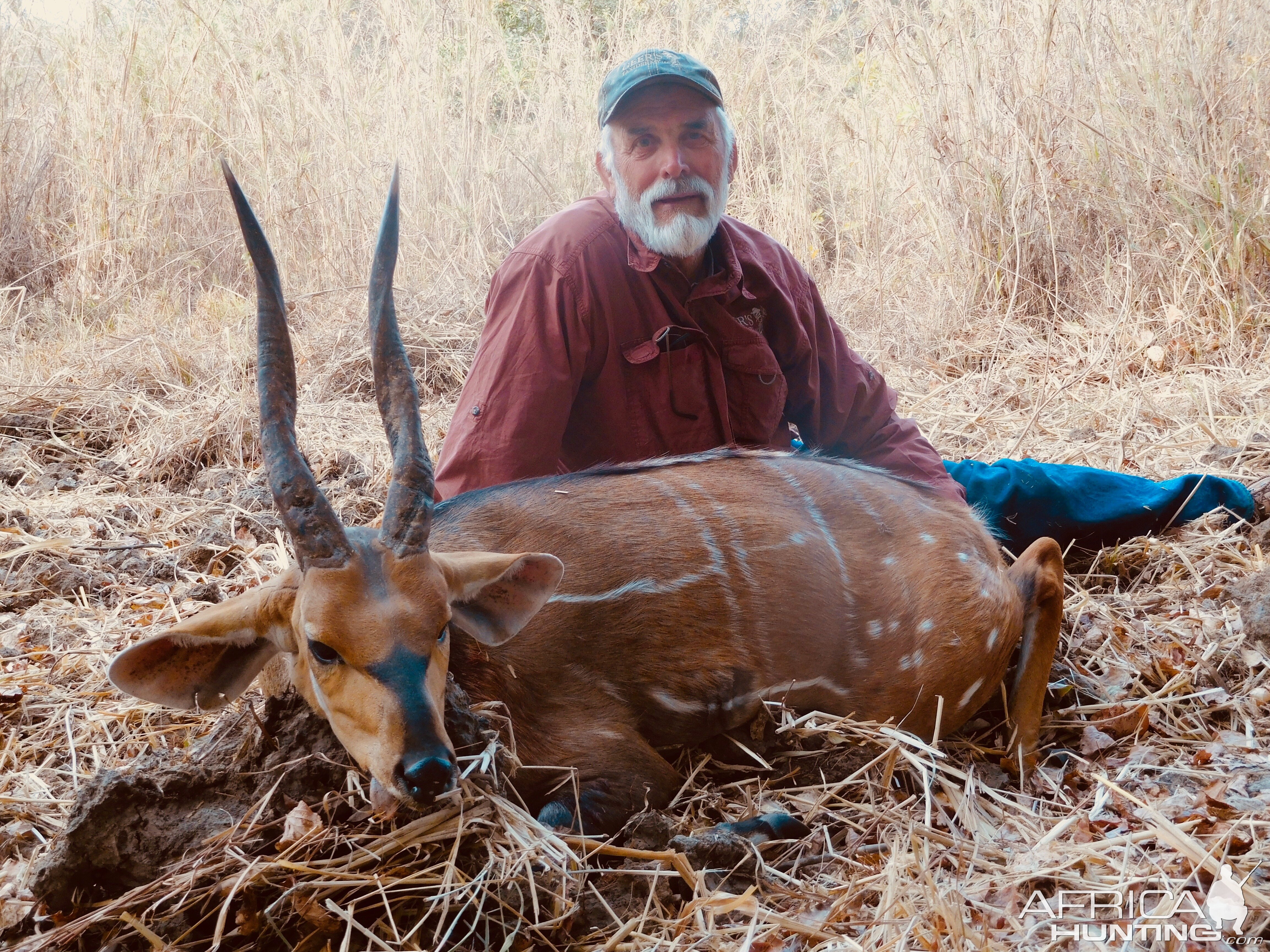 Harnessed Bushbuck Hunting in Burkina Faso