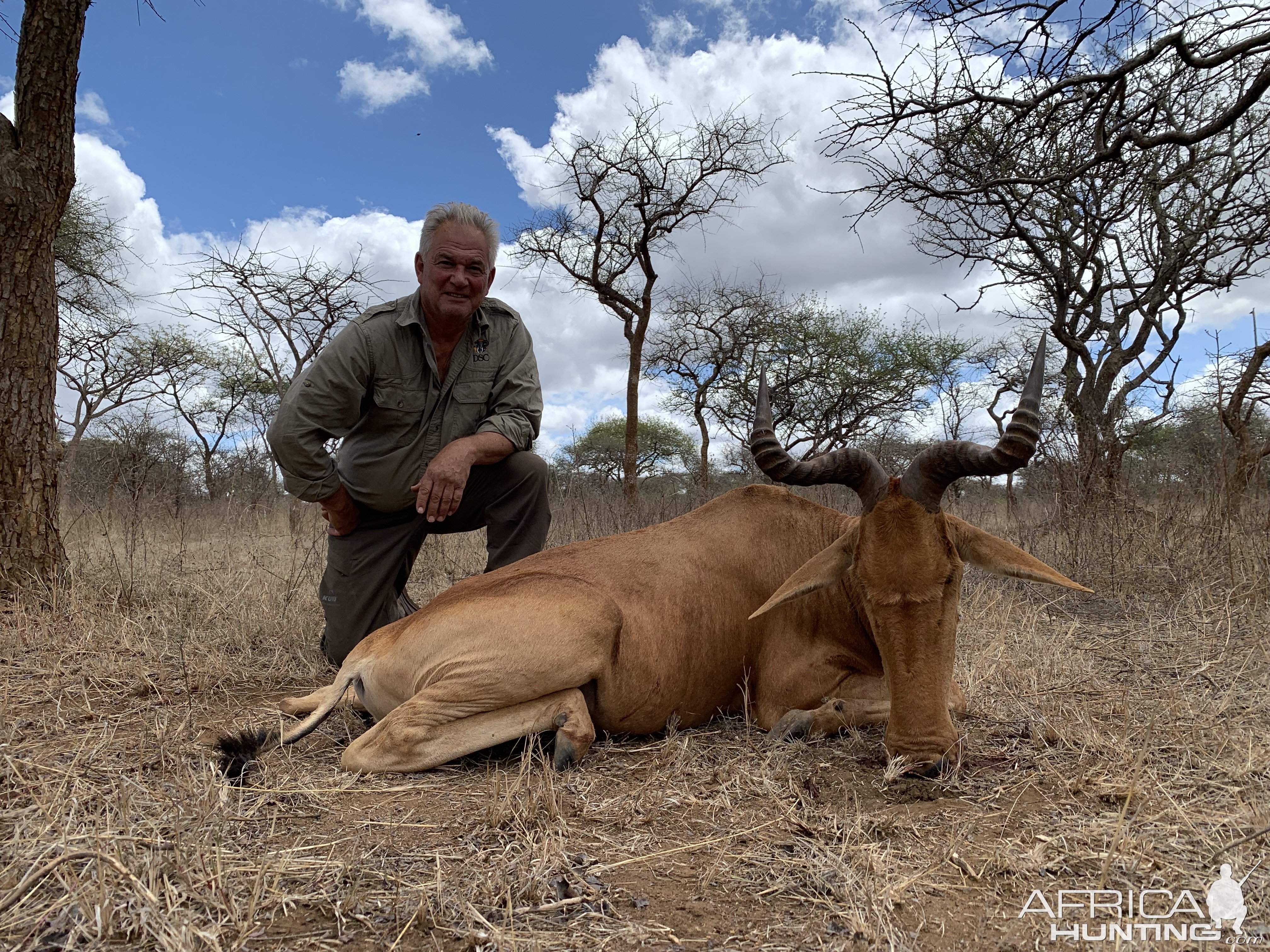 Hartebbest Hunt Tanzania