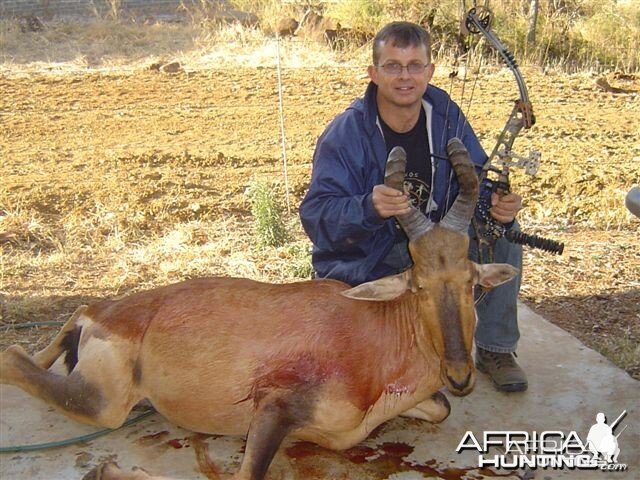 Hartebeest - Bushwack Safaris