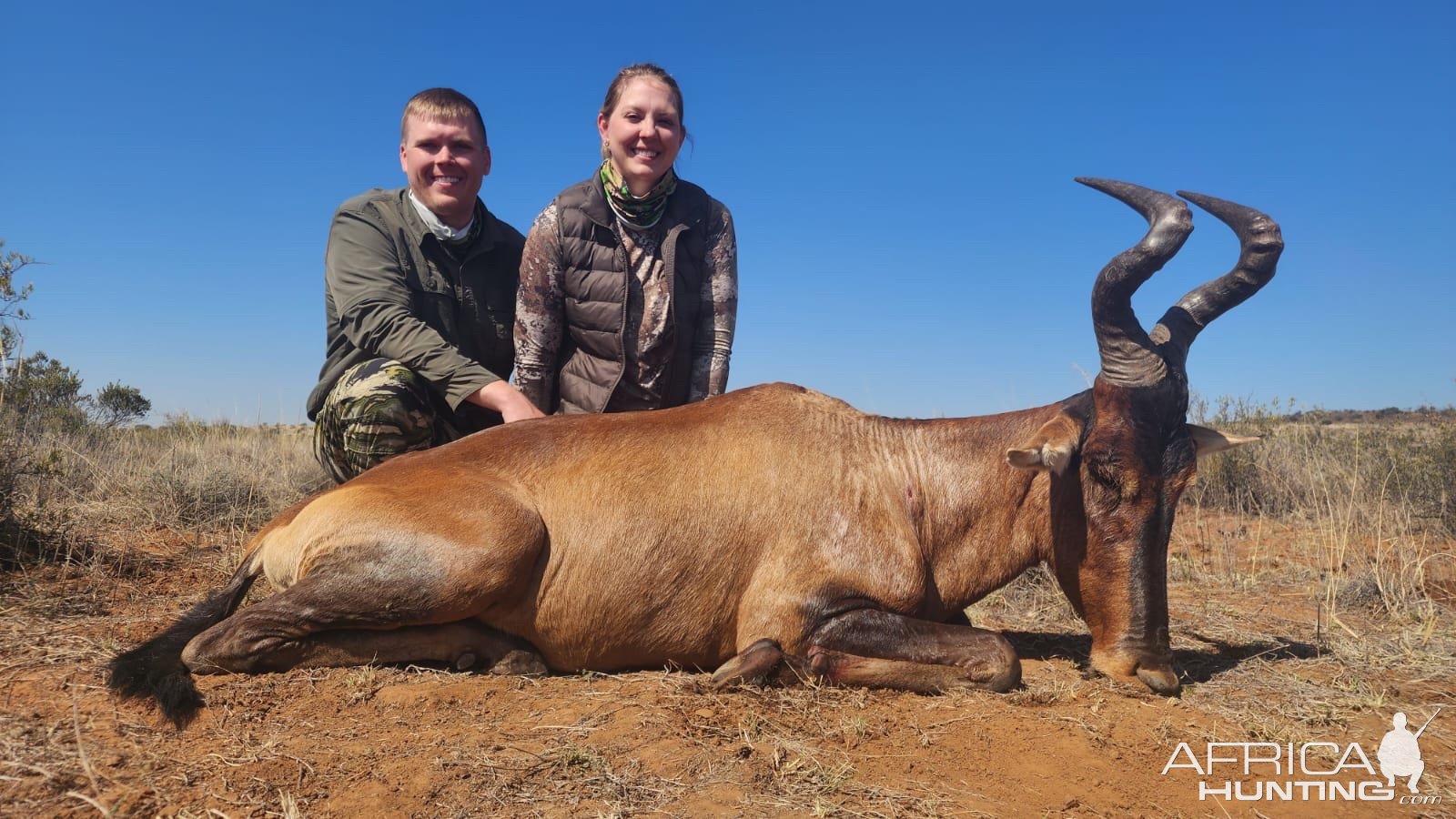 Hartebeest Hunt Free State South Africa