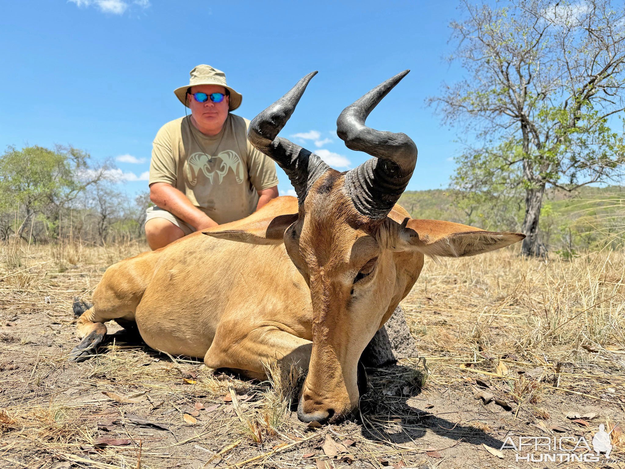 Hartebeest Hunt Mozambique