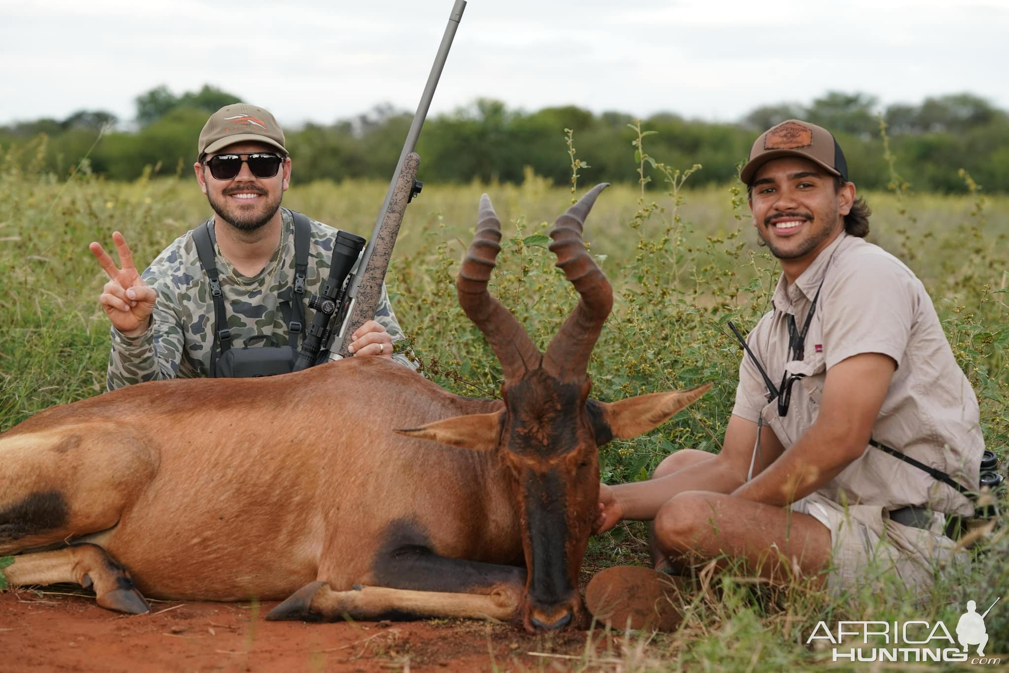 Hartebeest Hunt South Africa
