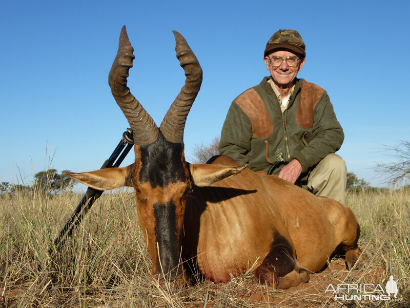 Hartebeest hunt with Wintershoek Johnny Vivier Safaris