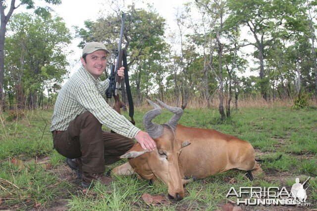 Hartebeest Tanzania