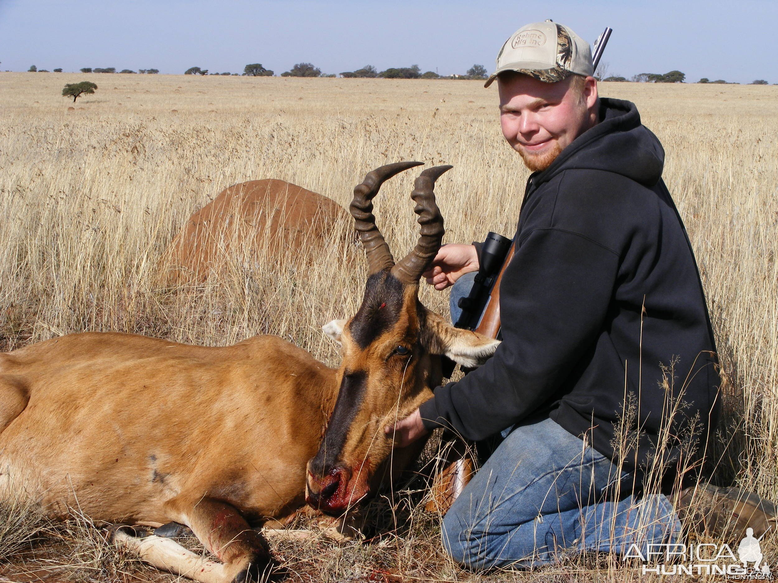 Hartebeest